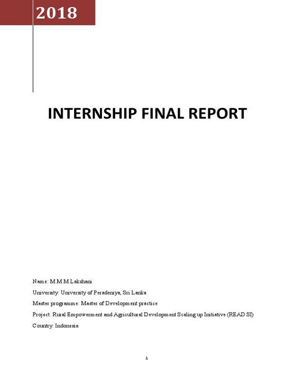 internship final paper