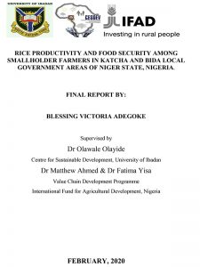 Rice Productivity And Food Security Among Smallholder Farmers In Katcha And Bida Local Government Areas Of Niger State, Nigeria